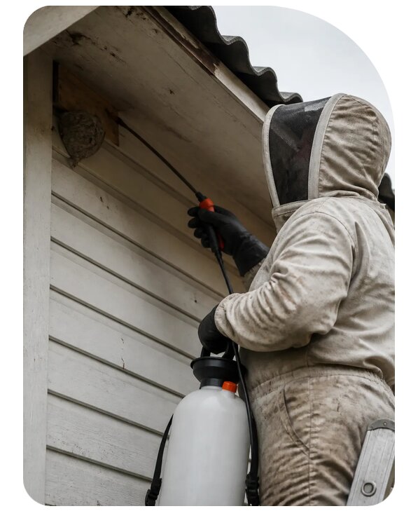 Уничтожение шмелей в Ессентуках — от 3569 р. | Сенат-Ссн